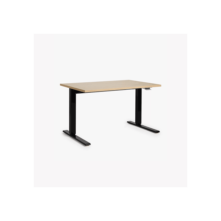 Large Desk